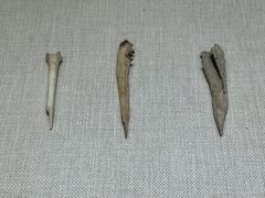 -迪庆藏族自治州博物馆