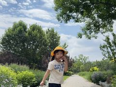 -大望京公园