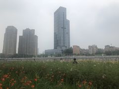 -望江楼公园