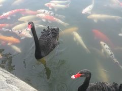 -茵特拉根酒店·西餐厅