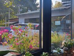 -遇见小院—虹鳟鱼•农家菜(怀柔店)