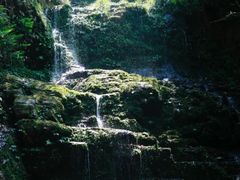 -大围山国家森林公园