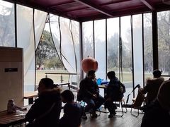 -鸡鸣汤包(红山动物园店)