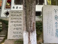 -严子陵钓台(富春江小三峡)