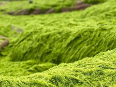 -青岛第三海水浴场