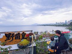 -野菌皇海景野生菌火锅(滨海大道店)
