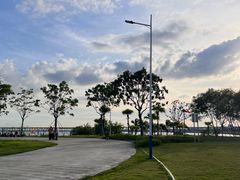 -宝安西湾红树林湿地公园