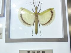 -上海昆虫博物馆