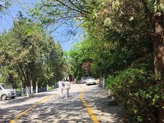 -云龙山