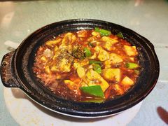 -陈麻婆豆腐总店