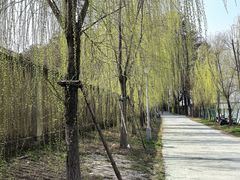 -汉水公园