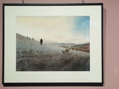 -湖北省美术院美术馆