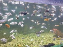-常州海昌海洋探索馆