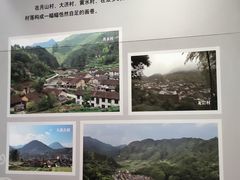 -中国庆元廊桥博物馆