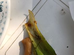 -草根堂农场