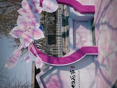 -桃花堤公园
