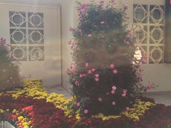 -人民公园(罗湖区)