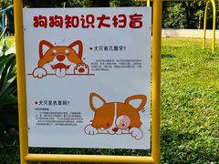 -景田北六街公园宠物主题园