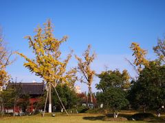 -凤城河风景区