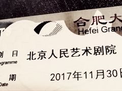 -合肥大剧院