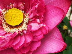 -南戴河国际娱乐中心