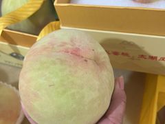 -老袁家蜜桃农场·阳山水蜜桃