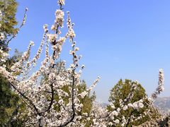 -白水寺森林公园