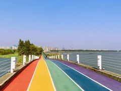 -贡湖湾湿地公园
