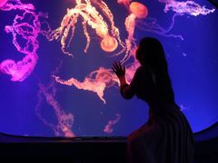 -海合安成都极地海洋公园