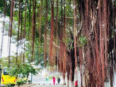 -白沙门生态公园