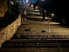 -泰山风景名胜区