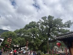 -新安江山水画廊风景区