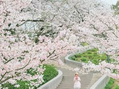 -杭州少年儿童公园