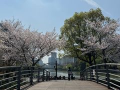 -西湖文化广场
