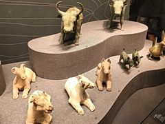 -广西壮族自治区博物馆