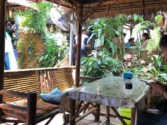 -Jungle Kitchen