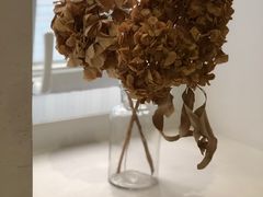 -素咫咖啡CLIFEROSE