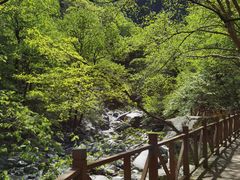 -青峰峡国家森林公园