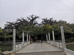 -海上田园