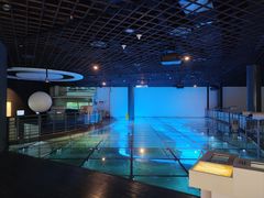 -上海长江河口科技馆