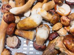 -菌之家·专业纯野生菌火锅·特色炒菌