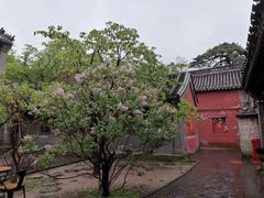 -潭柘寺景区