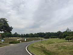 -宜兴龙背山森林公园