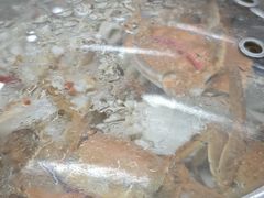 -仙螺岛海鲜自助餐厅(总店)