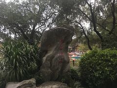 -金花茶公园