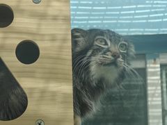-青藏高原野生动物园