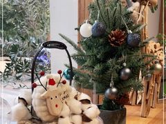 -COTTON CAFE(德信·中外公寓店)