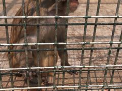 -南京金牛湖风景区