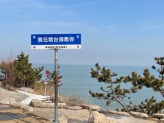 -海岛日记(养马岛店)
