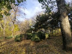 -元大都城垣遗址公园